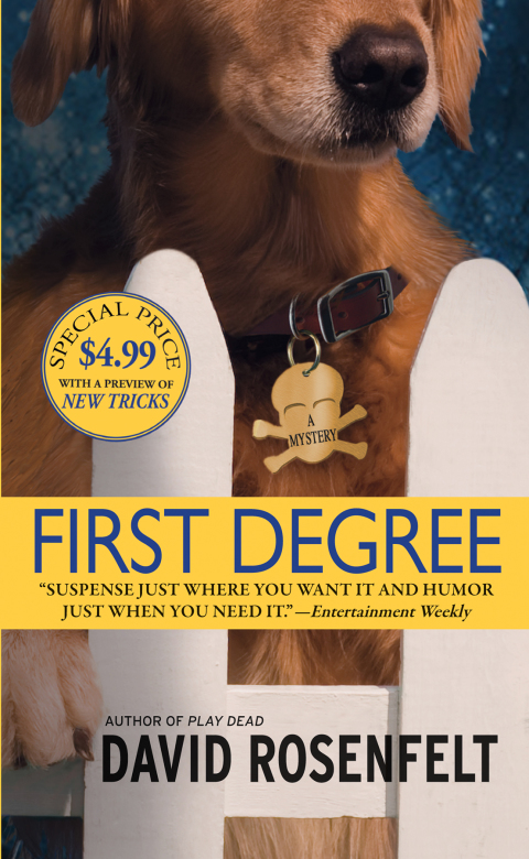 Cover image for book First Degree