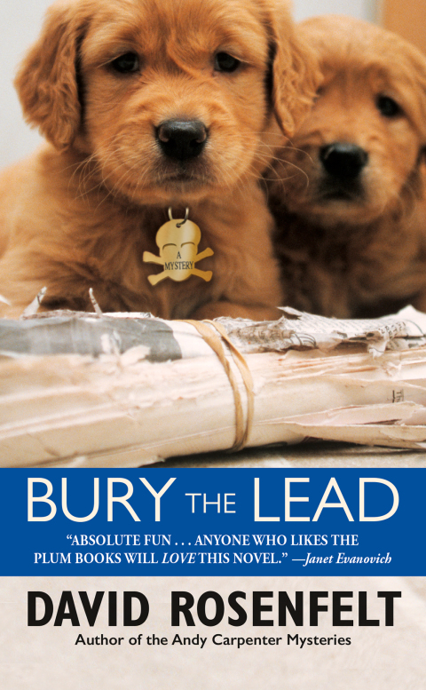 Cover image for book Bury the Lead