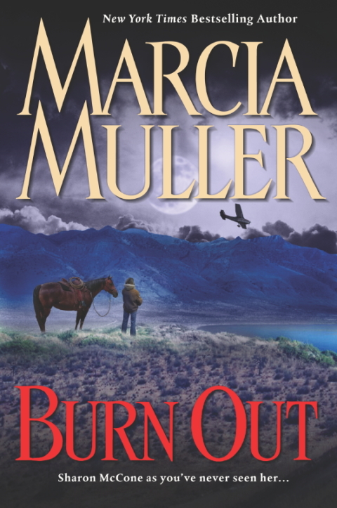 Cover image for book Burn Out