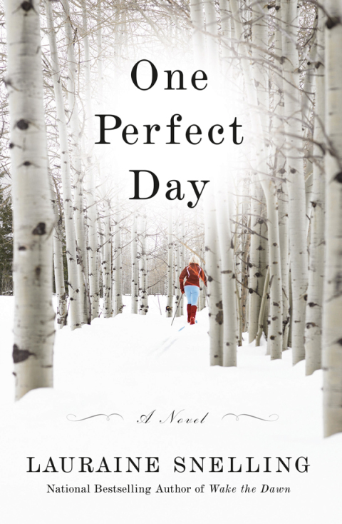 Cover image for book One Perfect Day