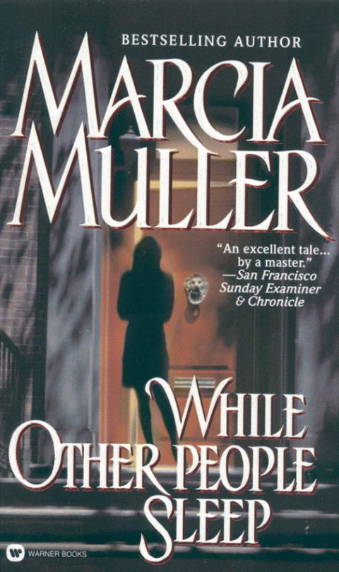 Cover image for book While Other People Sleep