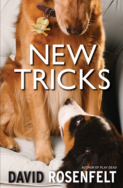 Cover image for book New Tricks