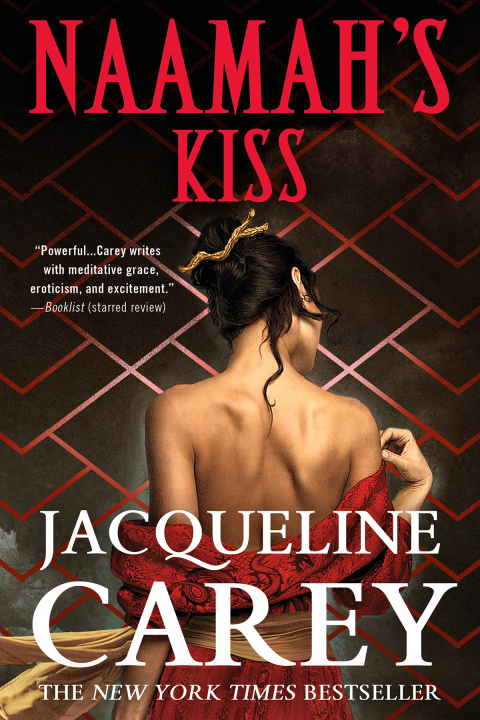 Cover image for book Naamah's Kiss