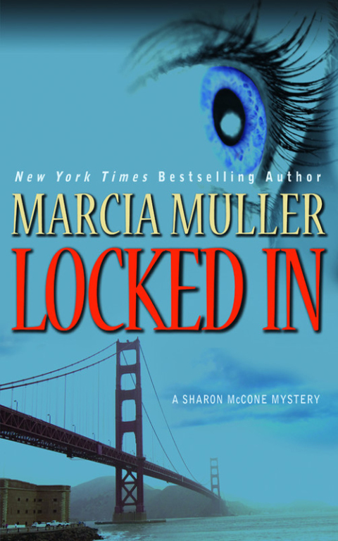 Cover image for book Locked In