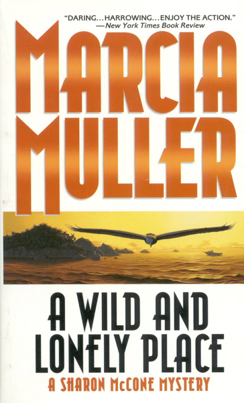 Cover image for book A Wild and Lonely Place