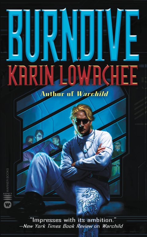 Cover image for book Burndive