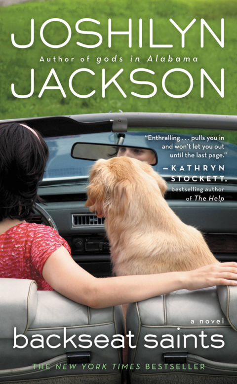Cover image for book Backseat Saints