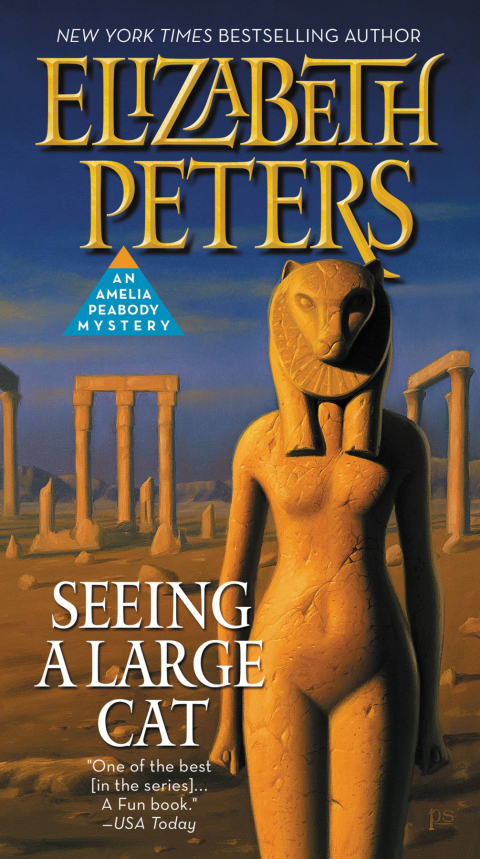 Cover image for book Seeing a Large Cat