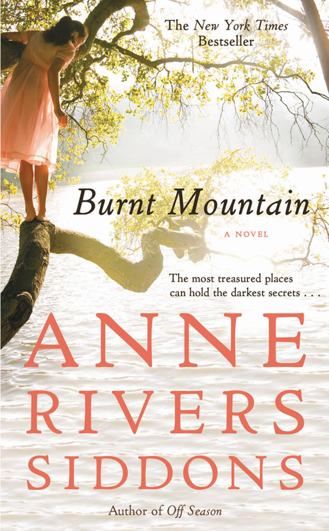 Cover image for book Burnt Mountain