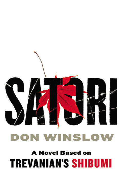 Cover image for book Satori