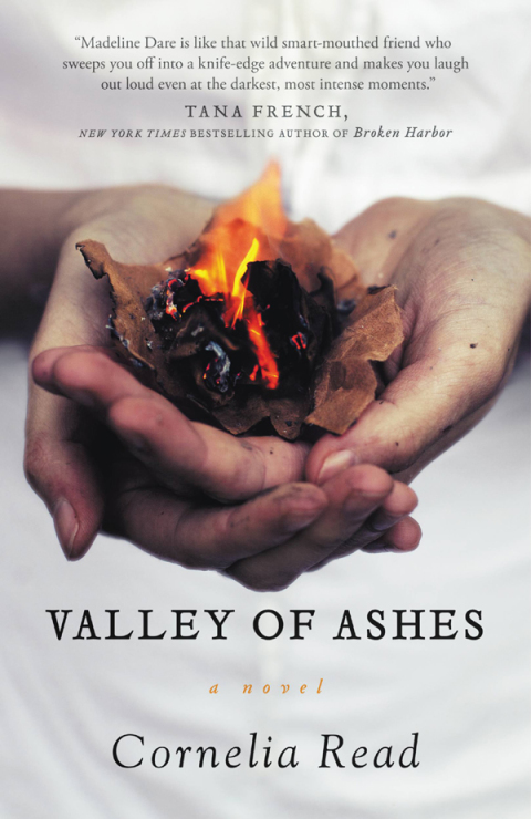 Cover image for book Valley of Ashes
