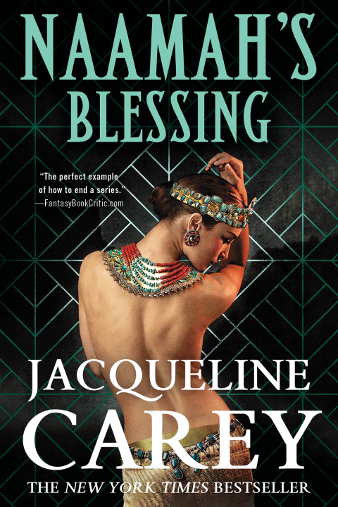 Cover image for book Naamah's Blessing