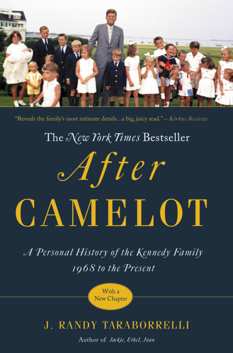 Cover image for book After Camelot