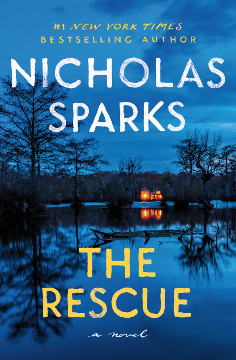 Cover image for book The Rescue