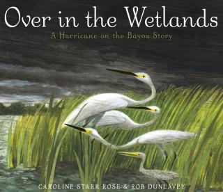 Over in the Wetlands