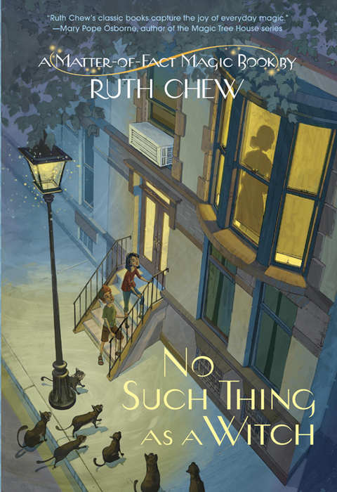 Cover image for book A Matter-of-Fact Magic Book: No Such Thing as a Witch