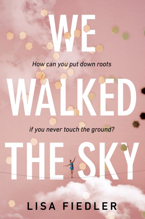 Cover image for book We Walked the Sky