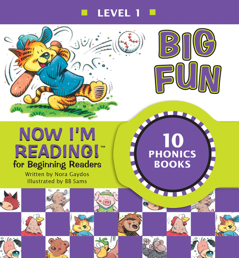 Cover image for book Now I'm Reading! Level 1: Big Fun
