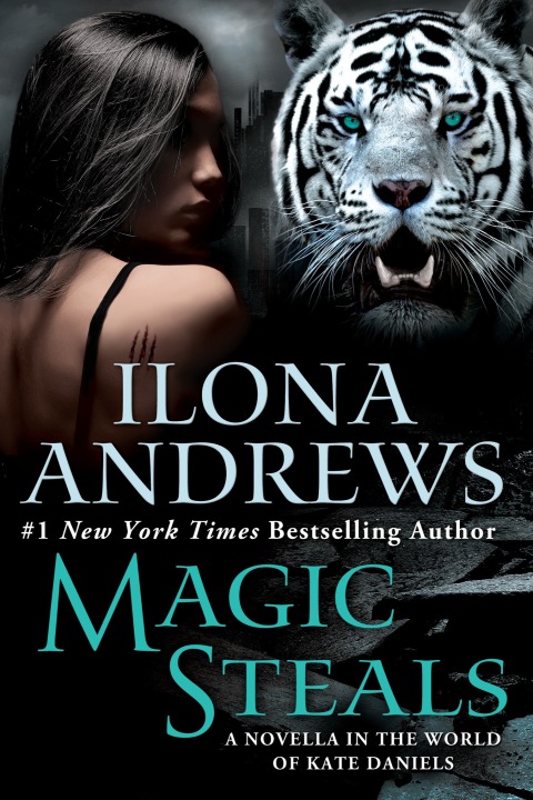 Cover image for book Magic Steals