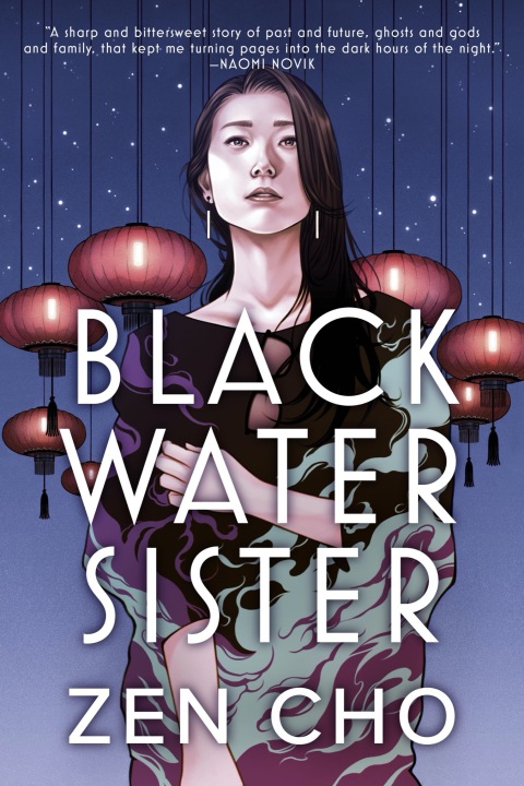 Cover image for book Black Water Sister