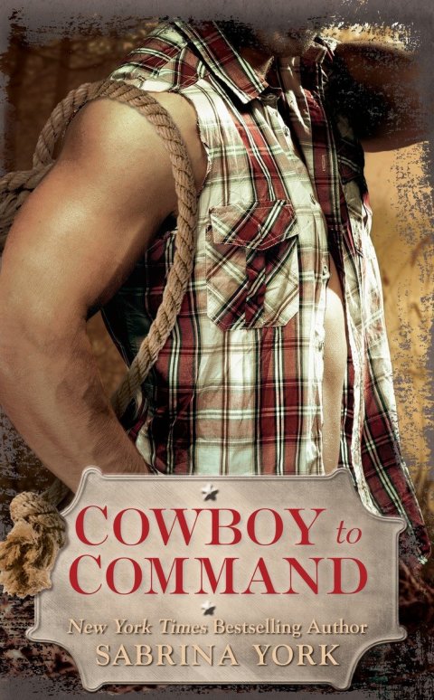 Cover image for book Cowboy to Command