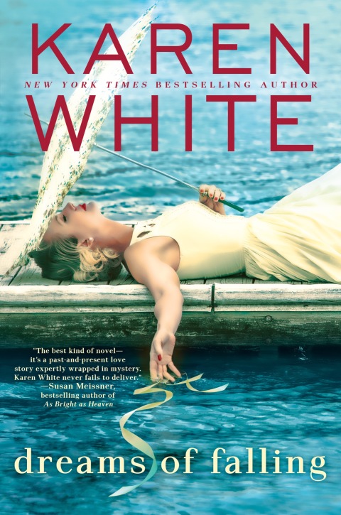 Cover image for book Dreams of Falling