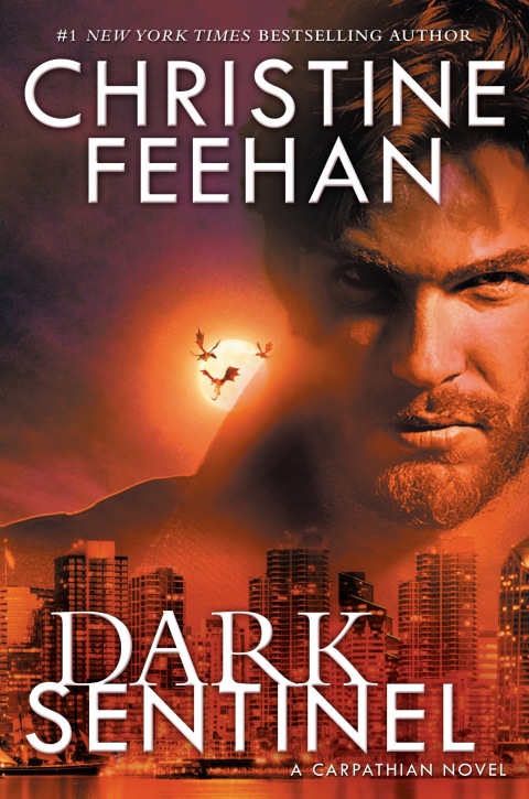 Cover image for book Dark Sentinel