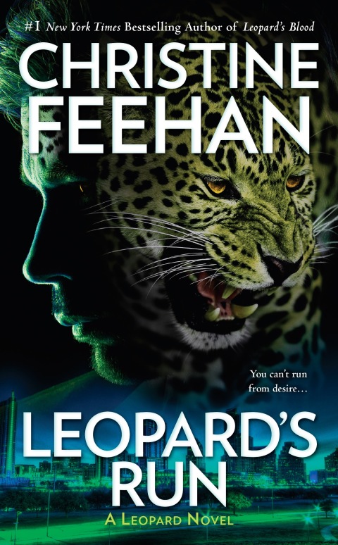Cover image for book Leopard's Run