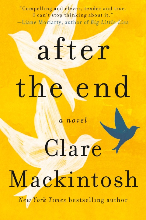 Cover image for book After the End