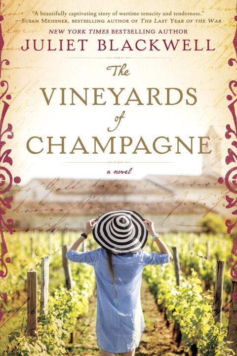 Cover image for book The Vineyards of Champagne