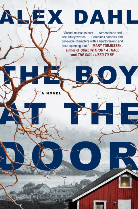 Cover image for book The Boy at the Door