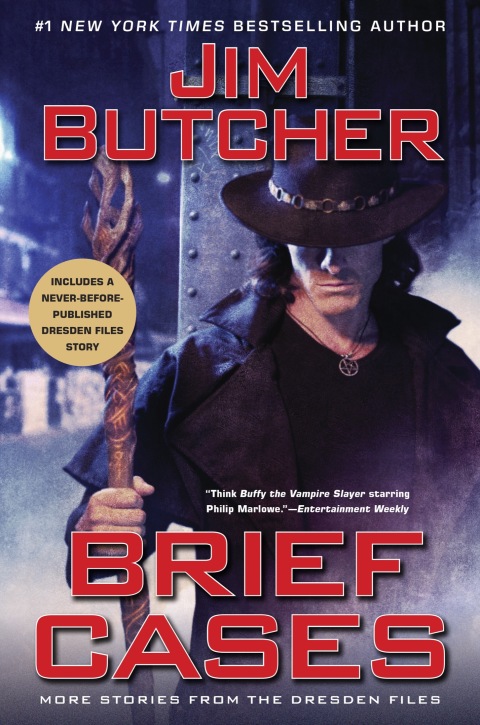 Cover image for book Brief Cases