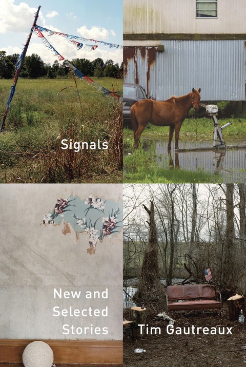 Cover image for book Signals