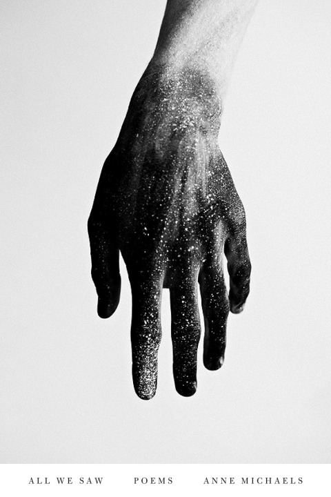Cover image for book All We Saw