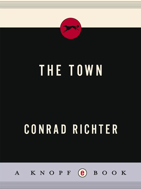 Cover image for book The Town (Pulitzer Prize Winner)
