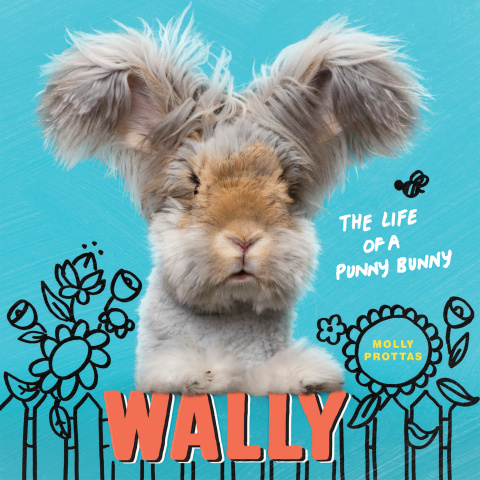 Cover image for book Wally