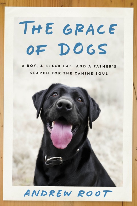 Cover image for book The Grace of Dogs