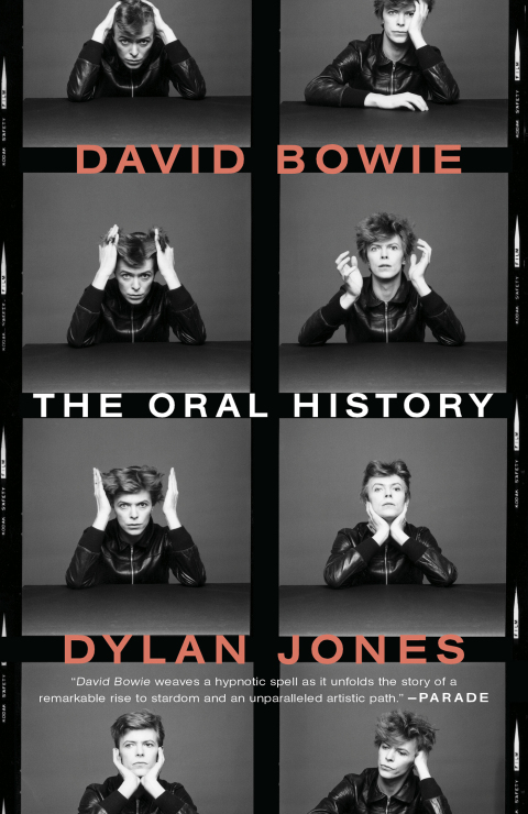 Cover image for book David Bowie