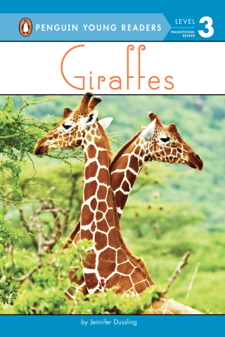 Giraffes