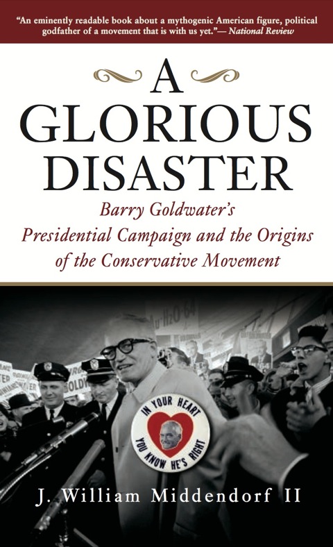 Cover image for book A Glorious Disaster