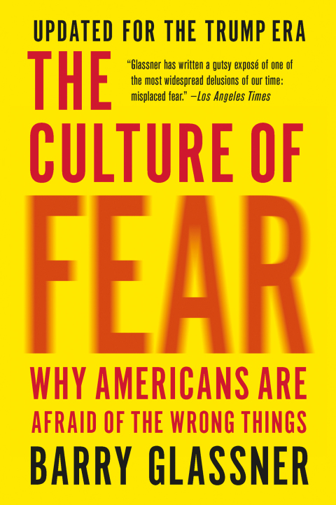 Cover image for book The Culture of Fear