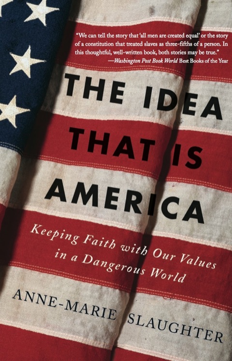 Cover image for book The Idea That Is America