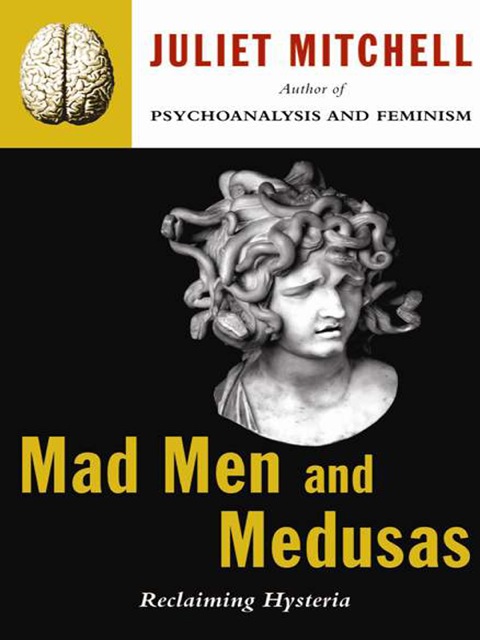 Cover image for book Mad Men And Medusas
