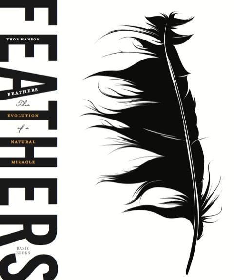 Cover image for book Feathers