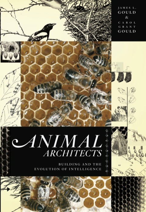 Cover image for book Animal Architects