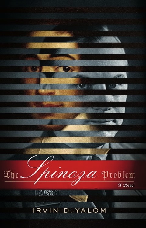 Cover image for book The Spinoza Problem