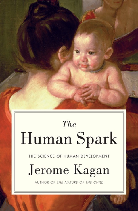 Cover image for book The Human Spark