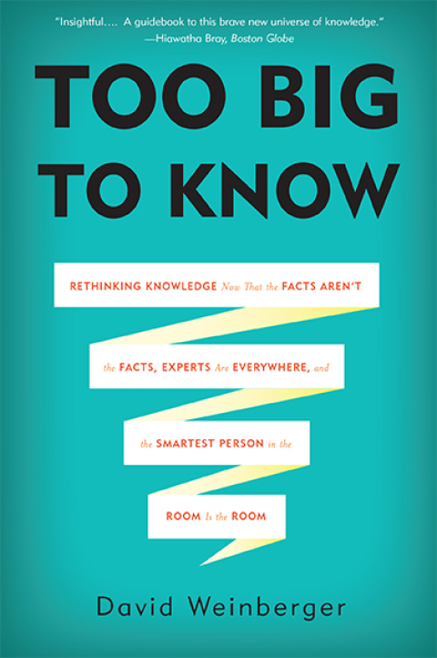Cover image for book Too Big to Know