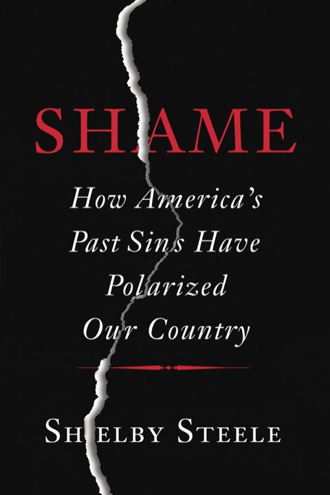 Cover image for book Shame