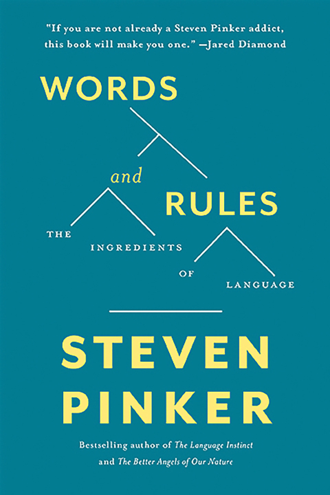 Cover image for book Words and Rules